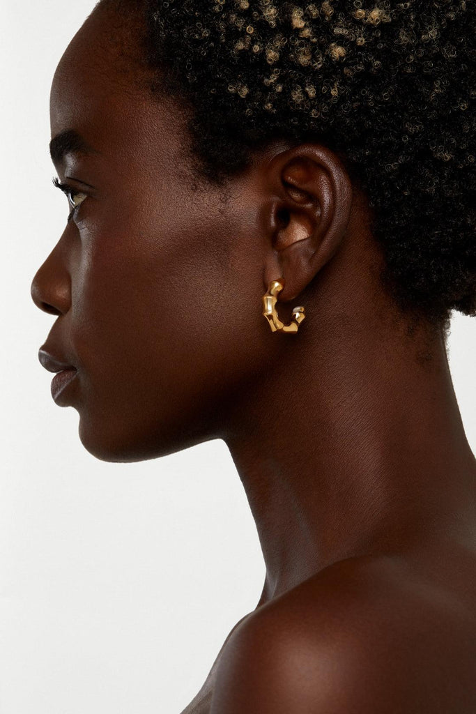 BAMBOO 18K Gold plated Earrings - Adeena Jewelry